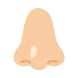 Hidung
