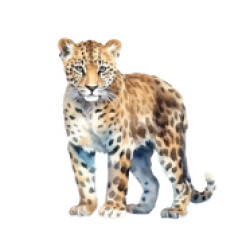 Macan dahan