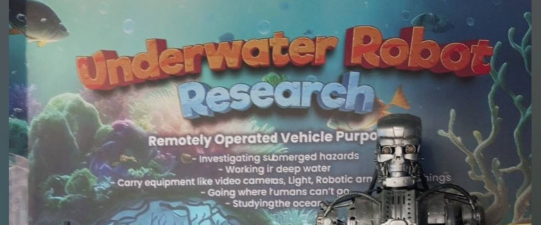 Underwater Robot Research
