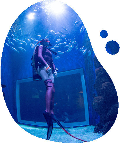 Underwater Funtasy Diving