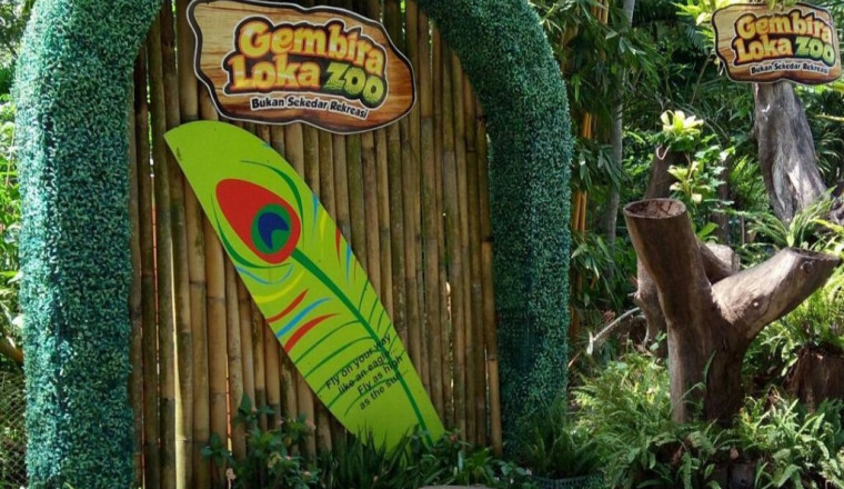 Belajar Mengenal Hewan dengan Berwisata