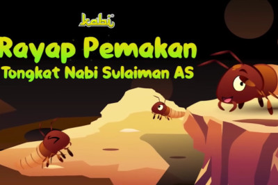 Rayap Pemakan Tongkat Nabi Sulaiman AS