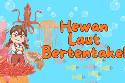 Hewan Laut yang Memiliki Tentakel