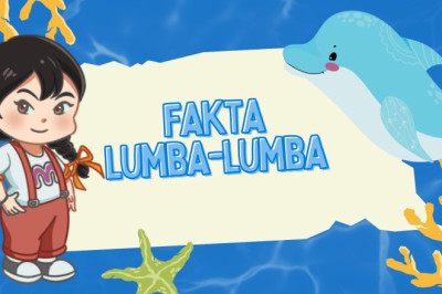 Mengungkap Fakta Menarik Lumba-Lumba